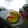 DuckusCrapus's Avatar